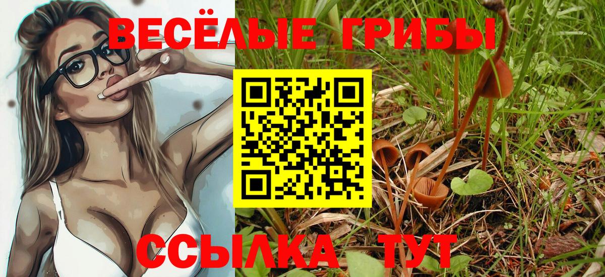 Псилоцибиновые грибы мухоморы Урай